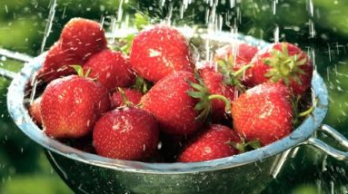 How to wash your produce