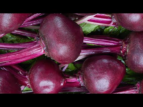 A Daily Glass of Beet Juice Can…