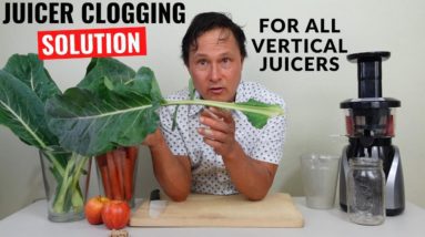 Vertical Juicer Clogging? Do this for the Best Juicing Experience