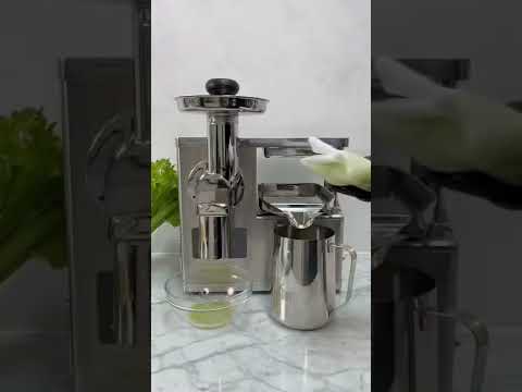 How to Make Celery Juice With Pure Cold Pressed Juicer